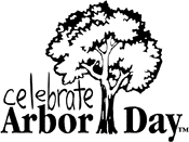 Celebrate Arbor Day 