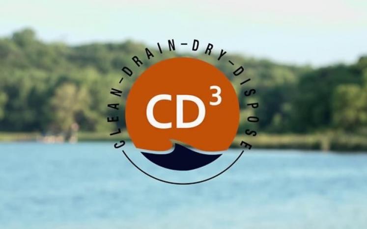 CD3 Logo